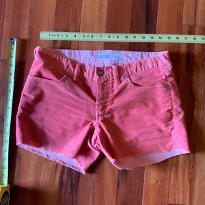 Carve Designs Oahu Shorts